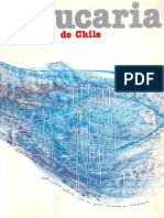 Bandolero chileno.pdf