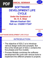 Software Dev Life Cycle