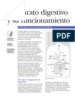 ESTRUCTURA Y FUNCIONAMIENTO.pdf