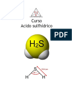 Manual Acido Sulfhidrico