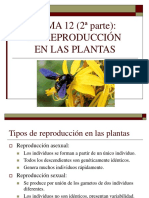 12_reproduccion_plantas.ppt