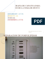 Cromatografia de Lipidos