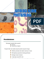 Protozo analis