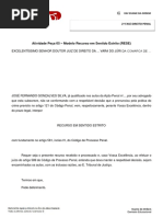 Atividade - Peca 05 - Modelo Recurso Em Sentido Estrito
