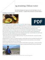 Avocado Farming Straining Chilean Water Supplies: Recently Warned