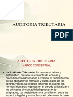 AUDITORIA-TRIBUTARIA2.pptx