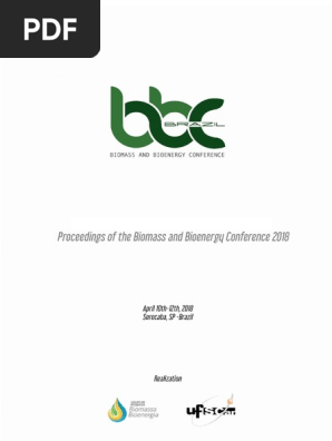 bruno bassetto community bank