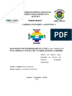 Diagnóstico de enfermedades en cuyes