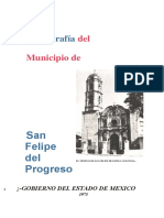 San Felipe Del Progreso