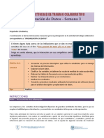 Pautas Proyecto Grupal-2011.pdf