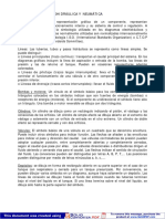 simboneumaoleo.pdf