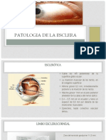 09 - Patologia de La Uvea