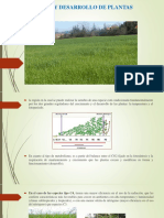 Crecimiento y Desarrollo de Plantas Forrajeras