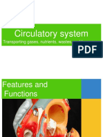 Circulatory System: Transporting Gases, Nutrients, Wastes, and Hormones