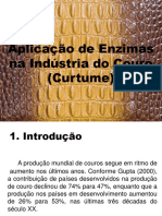 Aplicação de Enzimas Na Indústria Do Couro (