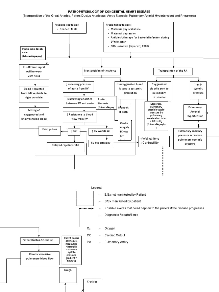 Pa Tho Physiology of Congestive Heart Failure | PDF | Heart | Blood ...