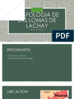 LOMAS DE LACHAY PPT-1.pptx
