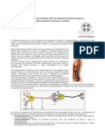 Apunte 1_Introduccion Al Estudio de La Anatomia Macroscopic A Del SNC