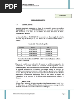Declaracion-Impacto Ambiental PDF
