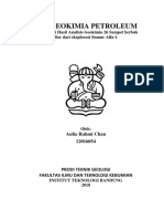 Evaluasi Source Rock (Geokimia Petroleum)