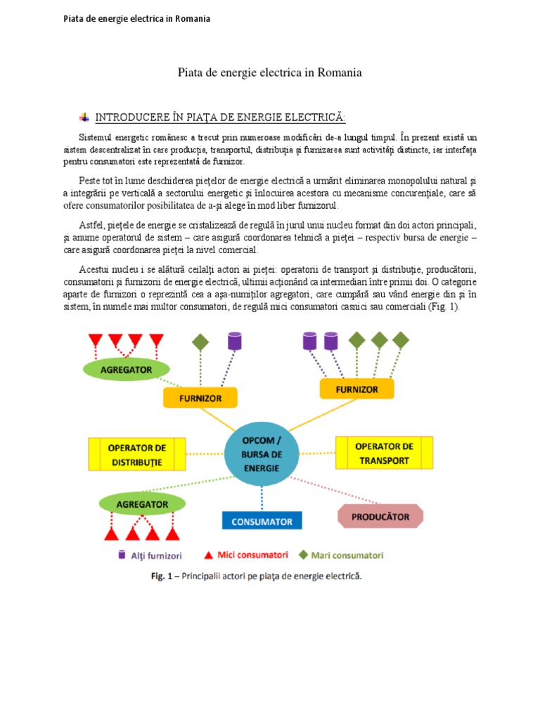 Piata de Energie Electrica in Romania PDF