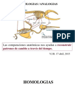 Homologias Analogias 15