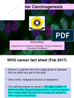 Molecular Carcinogenesis 2017