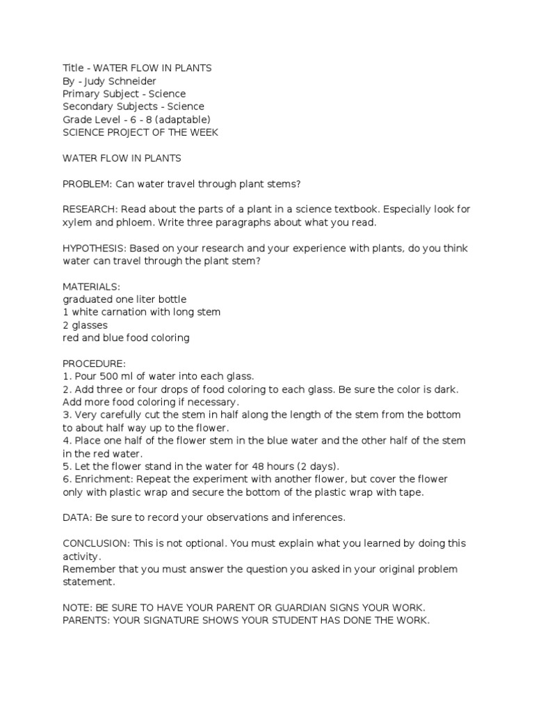 Micro Teaching | PDF | Lesson Plan | Leaf