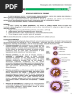 13 - Aparelho Reprodutor Feminino