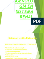 Renal