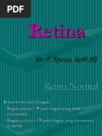 Retina.pp