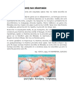 Κείμενο 3 Η Ντροπή Των Πλαστικών