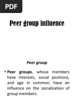 Peer Group Influence