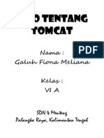 Tomcat