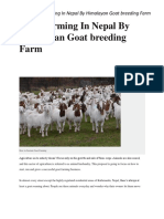 Himalayan Goat Breeding Farm Bungkot Gorkha Nepal