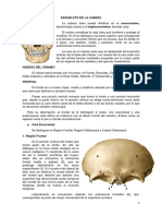 Osteologia-de-cráneo.pdf