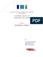 Apuntes Algebra lineal.pdf