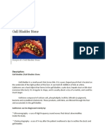 Gall Bladder Stone Document Provides Overview of Medical Condition