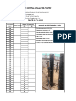 Control de Pilotes - P H.1-H-14