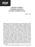 "Curando as feridas", Ynestra King