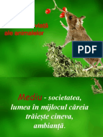 Mediile de Viata Ale Animalelor