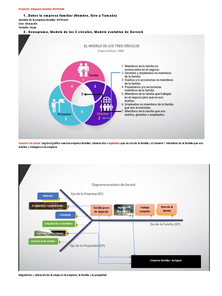 Estrategias para la Empresa Familiar IESTPJAM | PDF | Business | Negocios