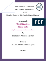 Triage Obstétrico, Código Mater y Equipo de Respuesta Inmediata Obstétrica.