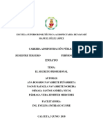 El secreto profesional: definición y funciones en la gestión pública