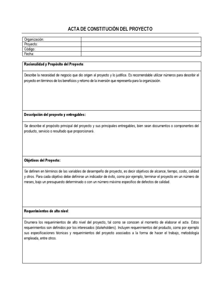 Ejemplo De Una Acta De Constitucion De Un Proyecto