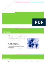 Aspergilose PDF