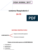 T6 Respiratorio I