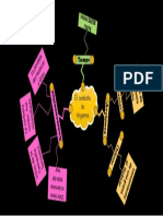 Mapa Conceptual Del Combate de Angamos