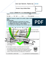 Prueba Ciencias 8 Basico - Copia