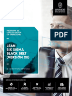 Folleto Lean Six Sigma Black Belt